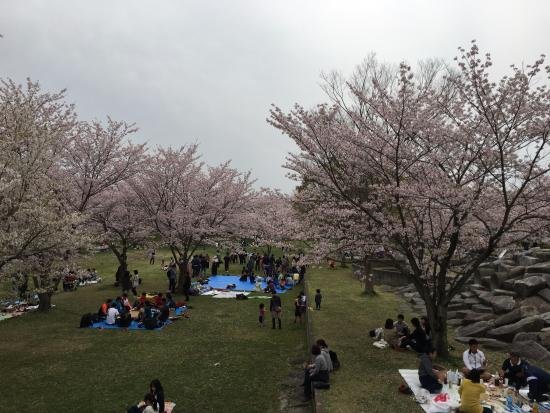 🌳 소리마치의 숲 공원(소리마치노모리 코엔) 이미지 4